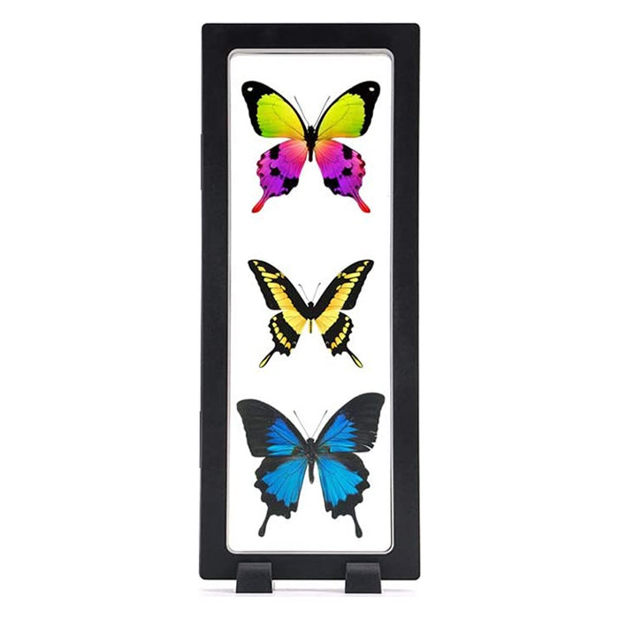 9" x 3.5" Black Floating Frame Jewelry Display Case