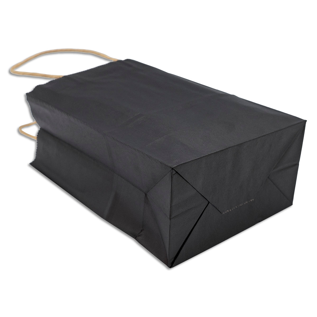 Matte Black Kraft Paper Shopping Gift Bags (12-Pack)