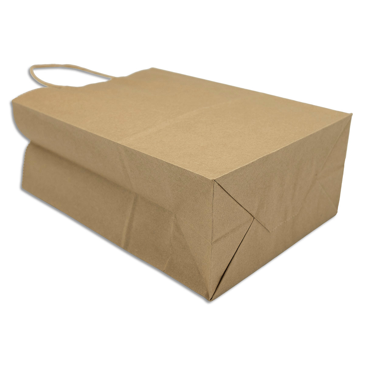 Natural Kraft Paper Shopping Gift Bags (12-Pack)