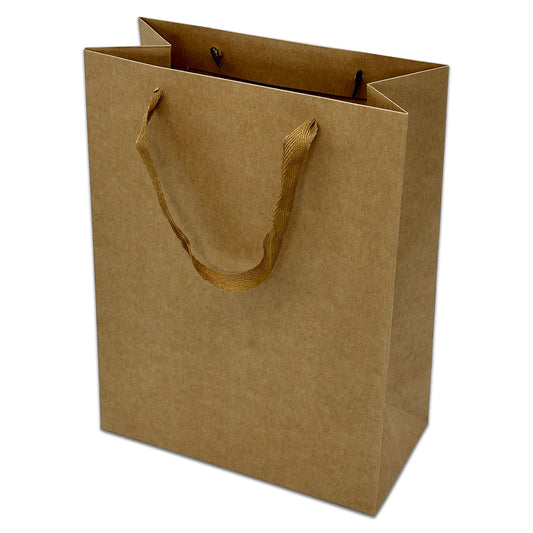 13" x 10" x 5" Kraft Paper Gift Bags with Fabric Handles