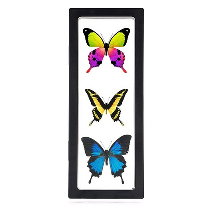 9" x 3.5" Black Floating Frame Jewelry Display Case